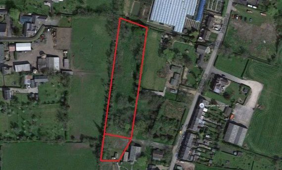 Newgate Lane Whitestake Presto...